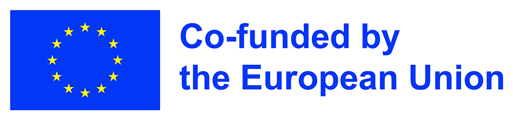 Co-funded by the European Union